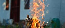 dictionar-de-vise-arde