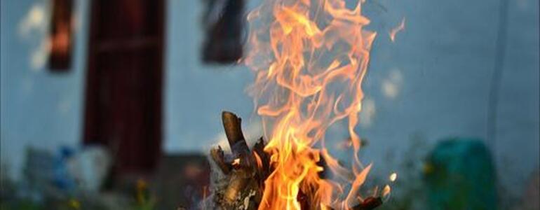 dictionar-de-vise-arde