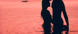 dictionar-de-vise-relatie-sexuala