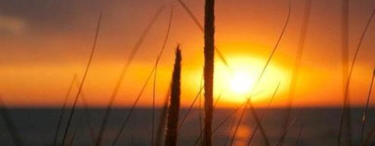 dictionar-de-vise-aurora