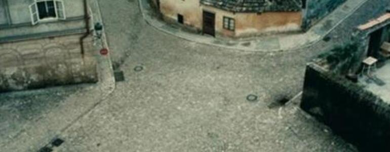 dictionar-de-vise-abandon