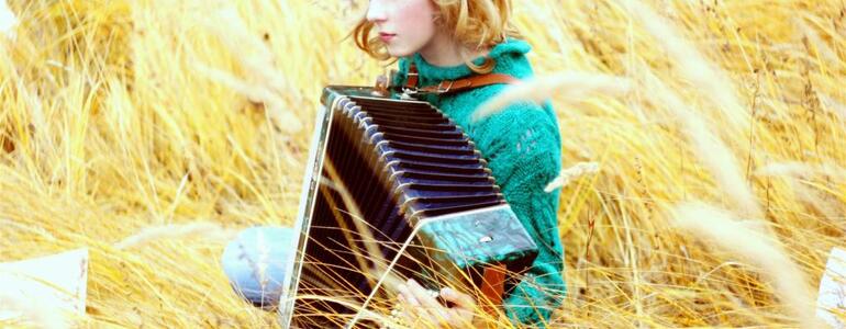 dictionar-de-vise-acordeon