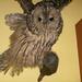 dictionar-de-vise-animal-impaiat