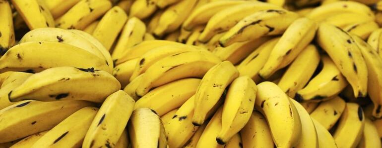 dictionar-de-vise-banane