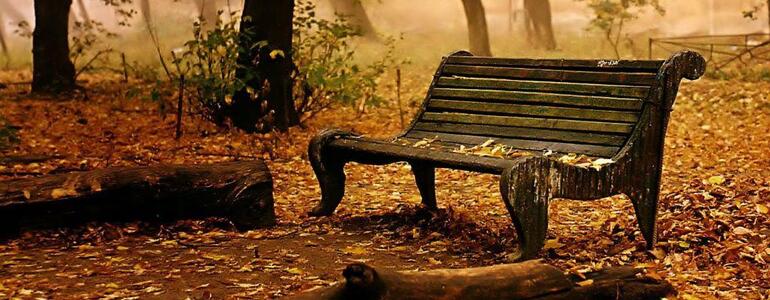 dictionar-de-vise-banca