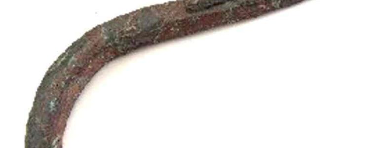 dictionar-de-vise-carlig-de-undita