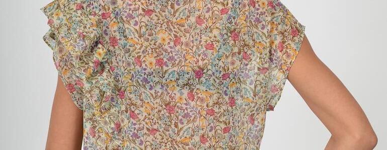 dictionar-de-vise-bluza