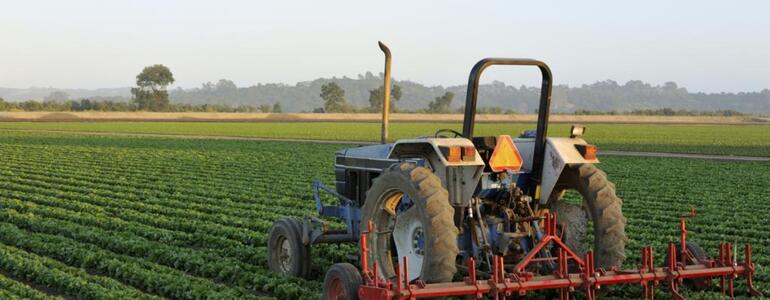 dictionar-de-vise-agricultura