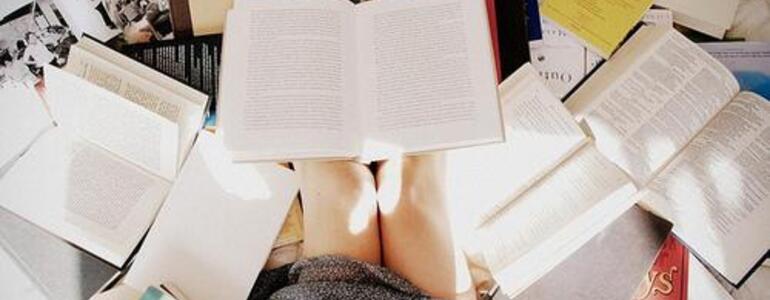 dictionar-de-vise-examen