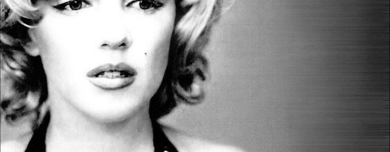 dictionar-de-vise-alunita