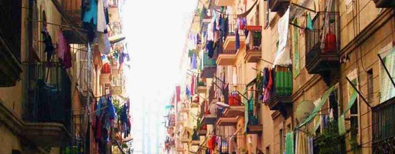 Haine In Vis Dictionar Vise Haine Ce Visez