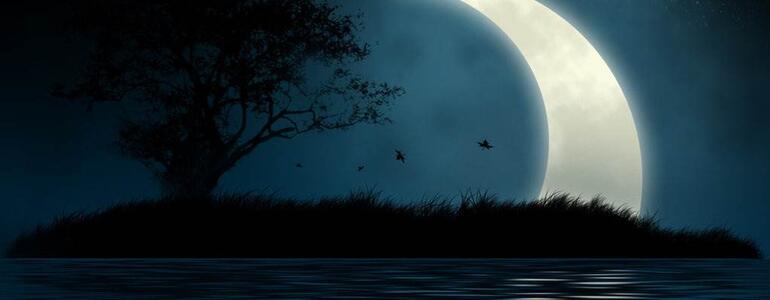 dictionar-de-vise-luna