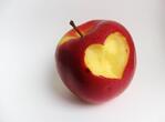 interpretare-vise-sarpe-prietenos