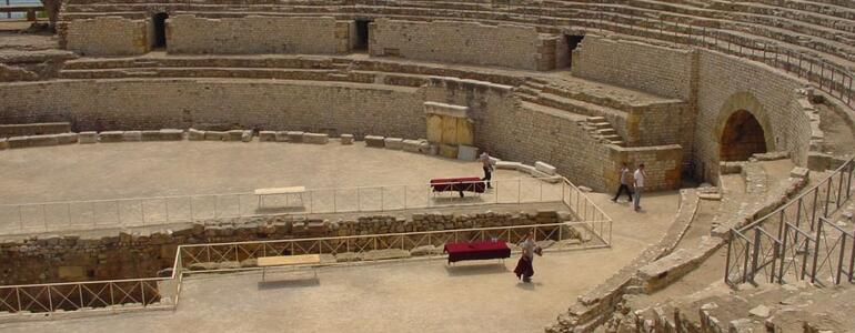 dictionar-de-vise-arena