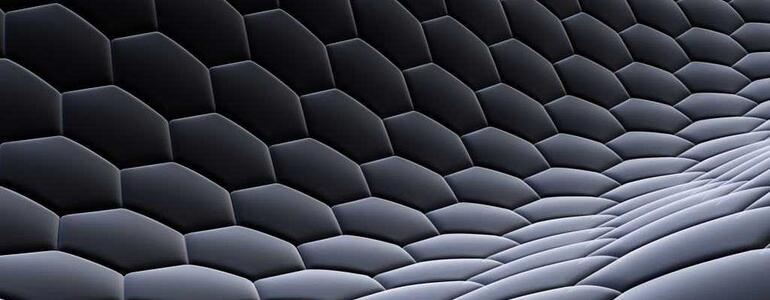 dictionar-de-vise-piele