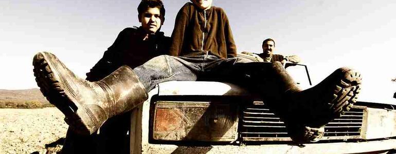 dictionar-de-vise-tigan-tigani