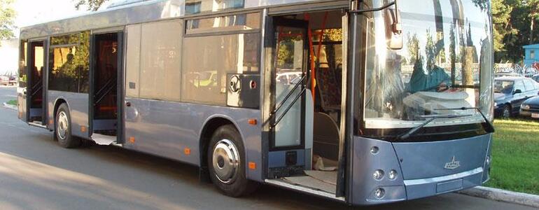 dictionar-de-vise-autobuz