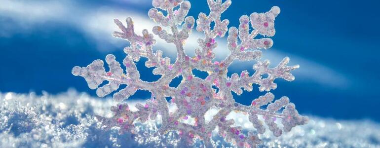 dictionar-de-vise-zapada