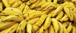 dictionar-de-vise-banane