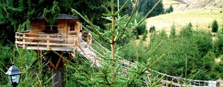 dictionar-de-vise-casa-in-copac