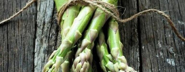 dictionar-de-vise-asparagus