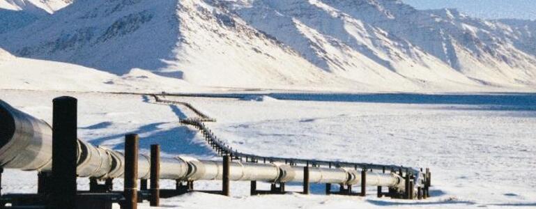 dictionar-de-vise-conducta