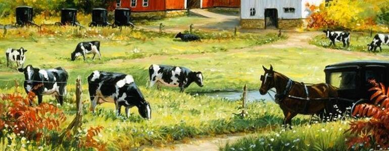 dictionar-de-vise-ferma