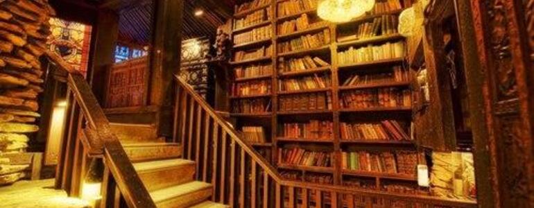 dictionar-de-vise-biblioteca