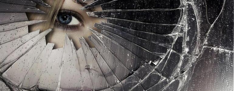 dictionar-de-vise-privind