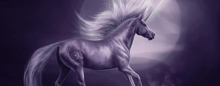 dictionar-de-vise-unicorn