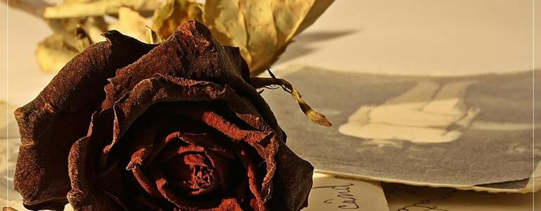 dictionar-de-vise-melancolie