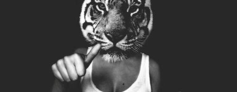 dictionar-de-vise-cap