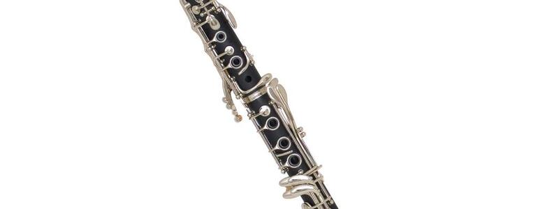 dictionar-de-vise-clarinet