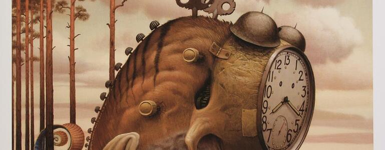 dictionar-de-vise-alarma