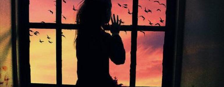 dictionar-de-vise-fereastra