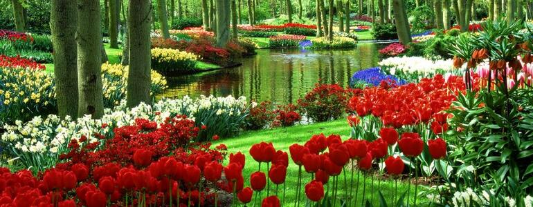 dictionar-de-vise-gradina