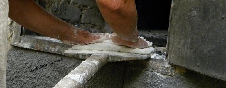 dictionar-de-vise-aluat