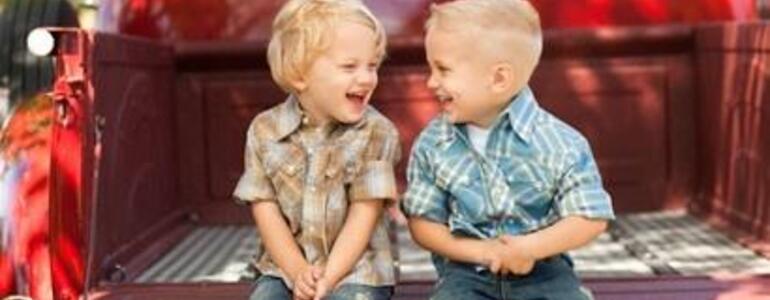 dictionar-de-vise-frate