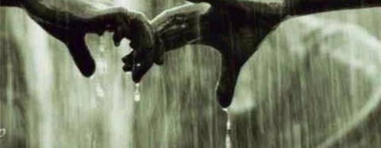 dictionar-de-vise-alunga