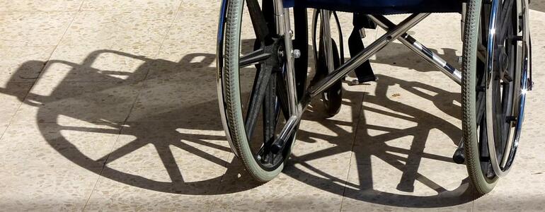 dictionar-de-vise-handicapat