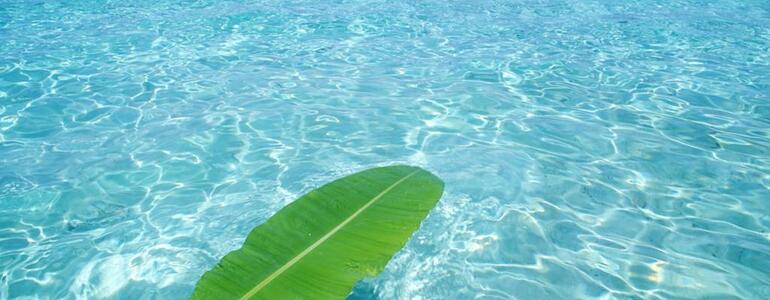 dictionar-de-vise-apa