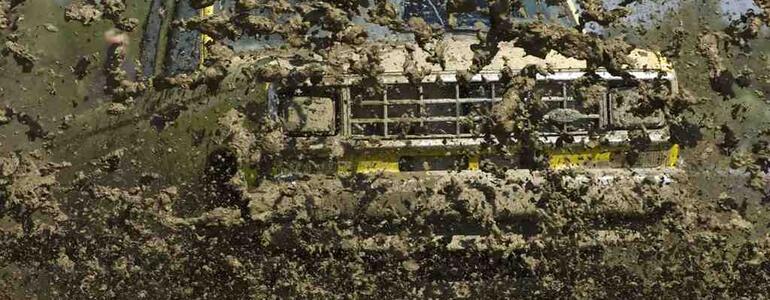 dictionar-de-vise-noroi